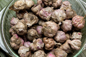 Venezuelan Andean gastronomy, details of several heads of garlic in a bowl