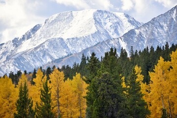 Autumn colors next to snowy mountain peaks