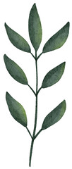 Watercolor green leaves