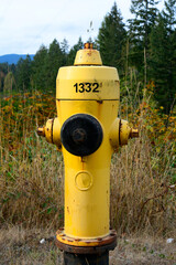 An image of a bright yellow fire hydrant in an open field. 