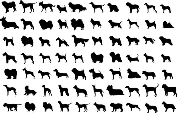 Dog Breeds Silhouettes 
