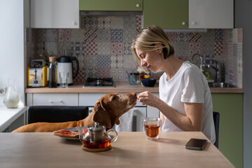 Casual middle aged woman having breakfast at kitchen table and treat dog to meal enjoying companionship and care of beloved pet. Hungarian Vizsla in home interior takes food from hand of mature female
