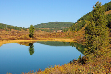 A tall pine tree is reflected in the calm waters of a beautiful lake with bushes along the banks and surrounded by hills in early autumn.