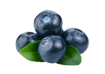 Blueberry isolated on transparent png