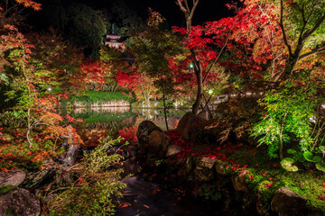Night fall landscape in the Zenrin-ji Temple