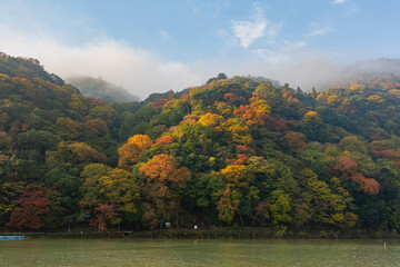Sunny view of the fall color around Katsura River at Arashiyama