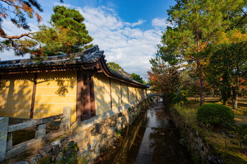 Sunny autumn landsacpe at Arashiyama