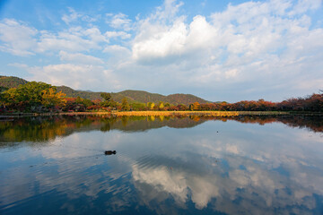 Obraz na płótnie Canvas Sunny view of the fall color of Osawa Pond