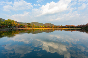 Sunny view of the fall color of Osawa Pond