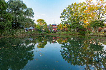 Fototapeta na wymiar Sunny view of the fall color and Shingyo-Hoto Tower of Osawa Pond