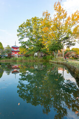 Obraz premium Sunny view of the fall color and Shingyo-Hoto Tower of Osawa Pond