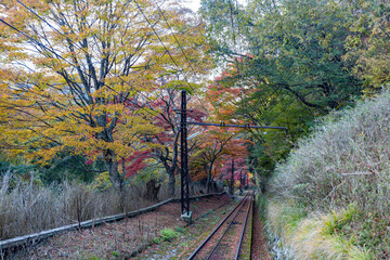 Daytime view of the beautiful fall color along the Eizan Cable Car railway