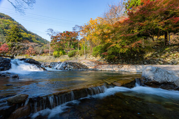 Daytime view of the fall color around Takano River