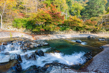 Daytime view of the fall color around Takano River