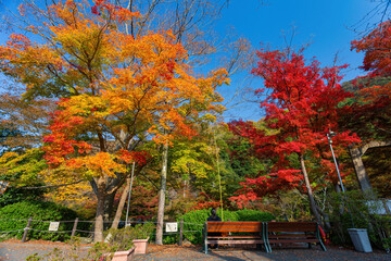 Sunny autumn landsacpe at Mount Hiei