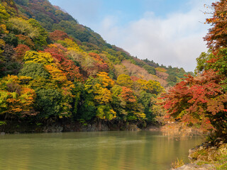 Sunny view of the fall color around Katsura River at Arashiyama