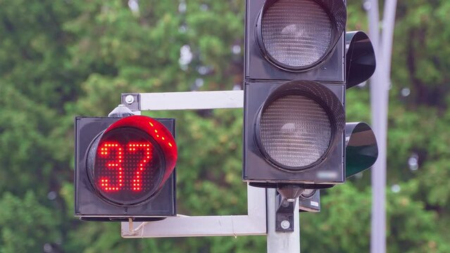 A close-up of a black traffic light counts down the time for pedestrians with a red forbidding signal. A red prohibiting signal prohibiting the movement of pedestrians or vehicles.