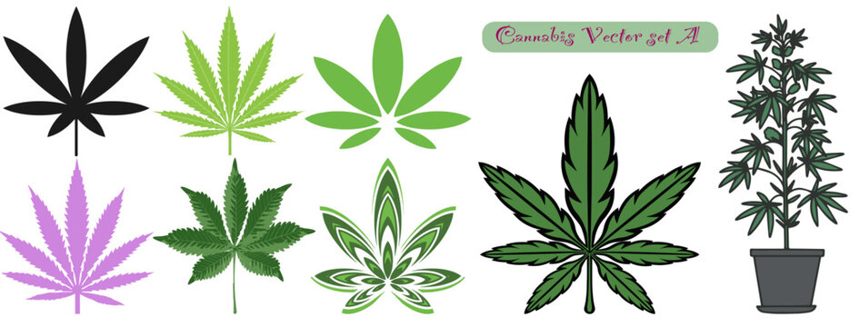 Cannabis leaf set vector