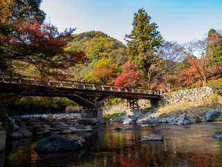 Fototapeta na wymiar Daytime view of the fall color around Takano River