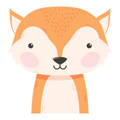 cute fox animal
