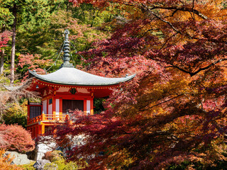 Sunny view of the beautiful fall color of Bentendo, Daigoji Temple
