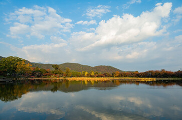 Sunny view of the fall color of Osawa Pond