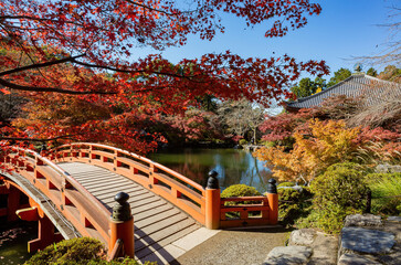 Sunny view of the beautiful fall color of a red bridge in Daigoji Temple