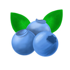 Blueberry fruit illustration. With green leaves. Blueberries on a white background.