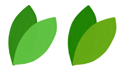 나뭇잎 leaf 