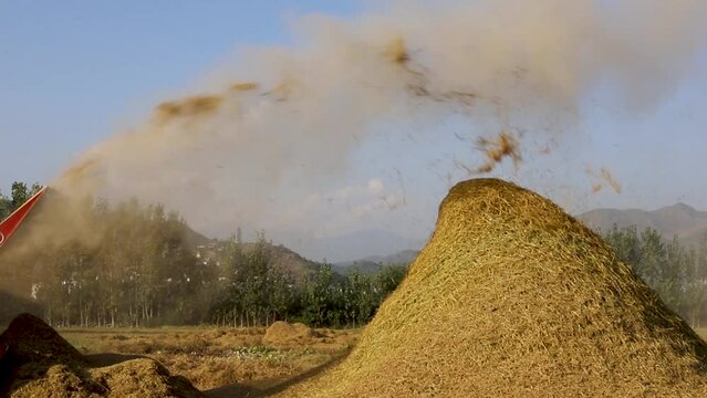 Malakand Division, KPK, Pakistan, October 07, 2022: Rice thresher harvesting rice crop in the field