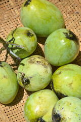 green indonesian mangoes in basket also knnown as Mangga Adas