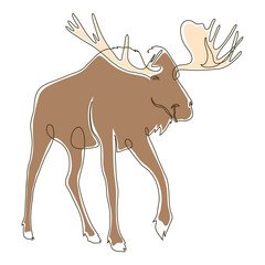 wild moose color drawn
