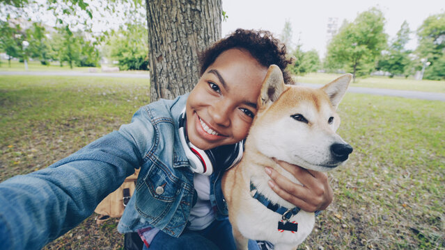 Point of view shot of cheerful African American teenage girl taking selfie with adorable shiba inu dog holding camera, posing and looking at camera. People, nature and animals concept.