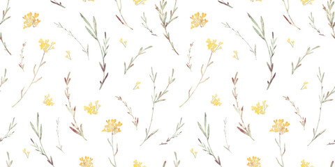 Watercolor floral hand drawn seamless pattern with delicate illustration of blossom yellow wildflowers, herbs, simple spikelets. Elements isolated on white background. For linens, wallpaper, wrapping.