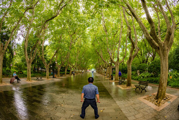 Obraz premium Taichi at the park, China