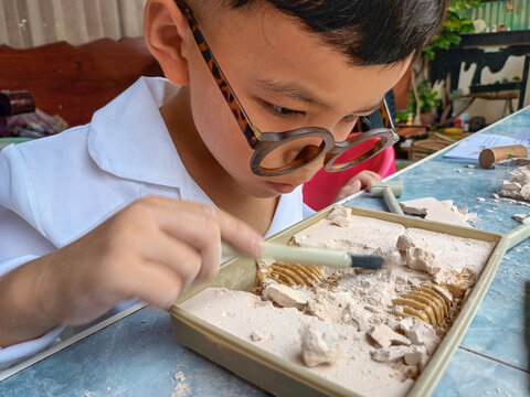 Happy child digging the dinosaur and having fun with archaeology excavation kit. Boy plays an archaeologist excavated, training for dig fossil
