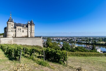 Beautiful view of the Chateau de Saumur castle and grapevines under a blue sky in France.