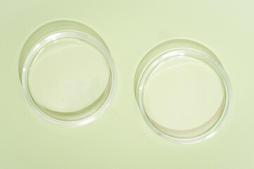two empty petri dishes on green background. copy space. medical or pharmaceutical laboratory equipment, study and research in biotechnology and health care product development, top view
