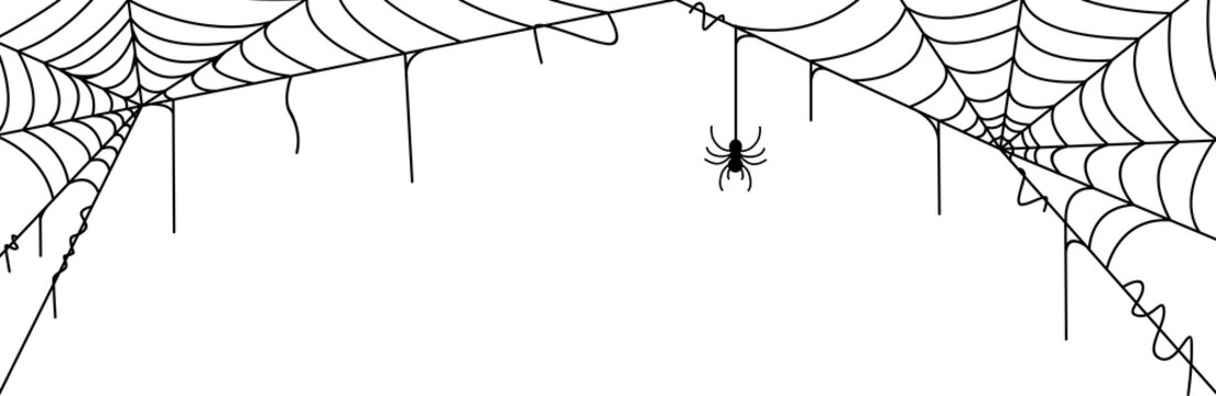 spider web halloween element design. line art spider web