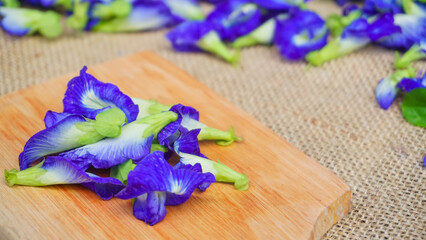 Selected focus Pile of butterfly pea flowers (Clitoria ternatea) on wodden board and burlap,  Telang flower for herbal tea raw materials - Photo product concept on photo studio with blur background