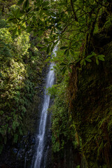 Vereda das 25 fontes hiking on Maderia	