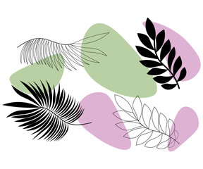 set background nature plant tropical leaves