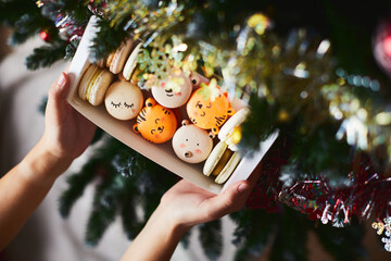 Macaroons in the hands of a girl under the Christmas tree. Top view.