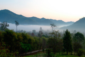 Forest, Mountain, Misty in Ratchaburi Province, Thailand