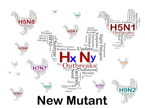 Avian Influenza Virus Subtype HxNy, New Mutant virus