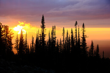 sunset over the field