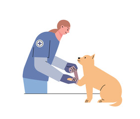 A veterinarian bandages an injured dog's leg. flat vector illustration.