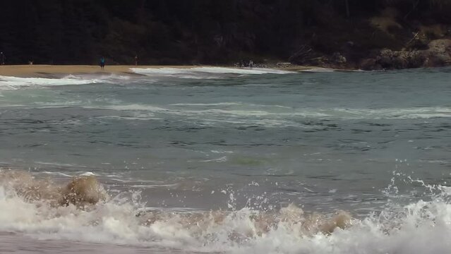 large tube waves crashing on the beach, Maine 
 sandy beach in Acadia National Park Maine USA

