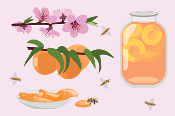 Blooming peach and fruit, jam and compote.
