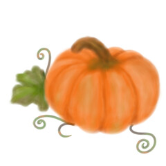 Beautiful pumpkin vegetable illustration in watercolor style